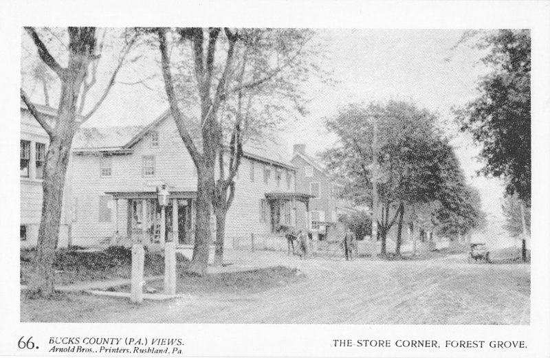 The Store Corner, Forest Grove