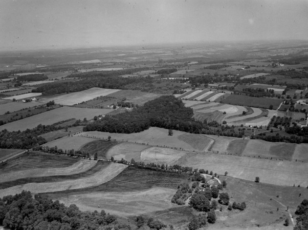 Honey Hollow from the air