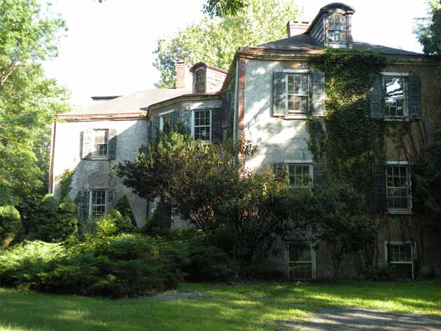 Cintra in New Hope