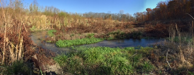 Aquetong Creek meanders through the old lake bed.